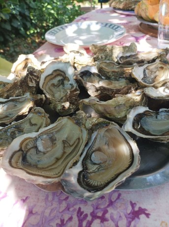 6-dnei-v-arkasone-kamernoe-zenskoe-putesestvie-dlia-vosstanovleniia-resursa-big-4